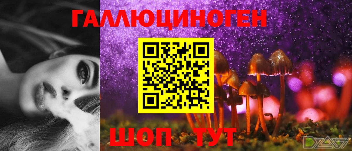 Чернушка  Галлюциногенные грибы MAGIC MUSHROOMS  Вход с VPN 